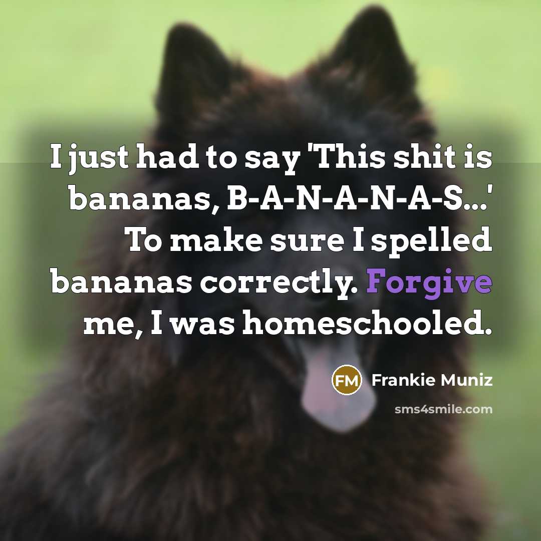 “I just had to say 'This shit is bananas, B-A-N-A-N-A-S...' To make sure I spelled bananas correctly. Forgive me, I was homeschooled.” quote by Frankie Muniz