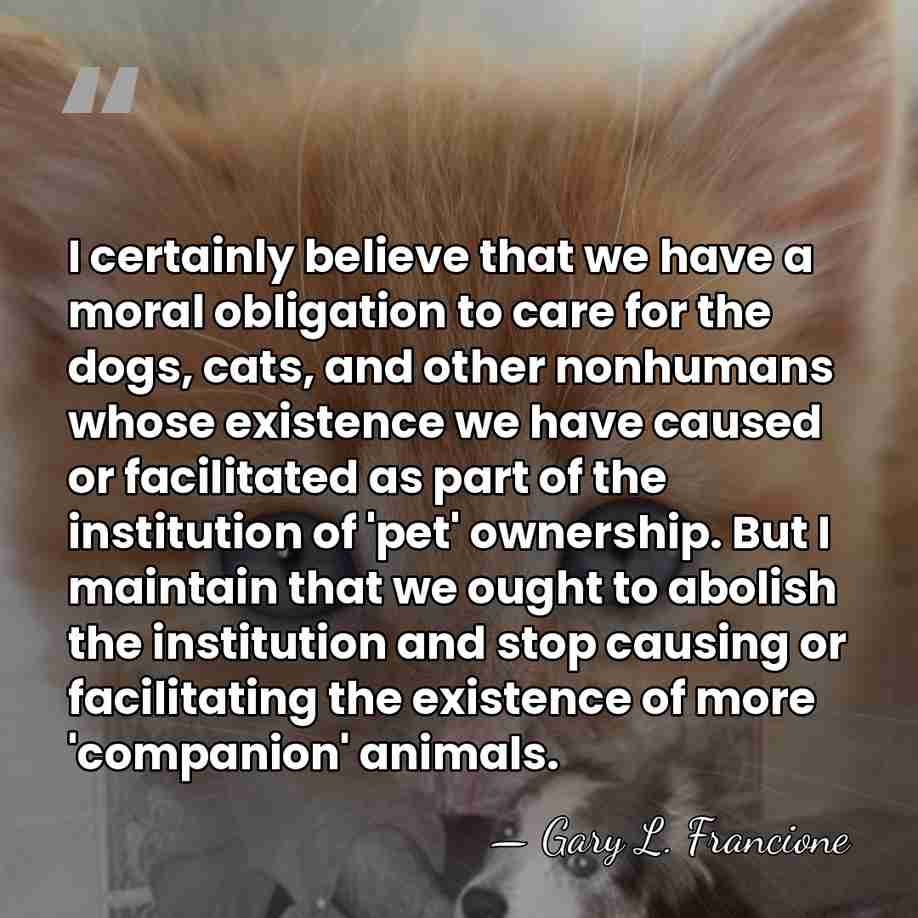 I certainly believe that we have a moral obligation to care for&hellip; - Gary L. Francione