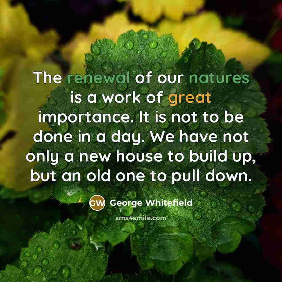 “The renewal of our natures is a work of great…” quote by George Whitefield