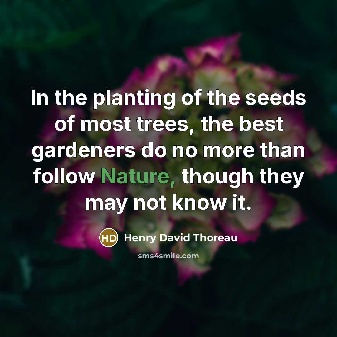 “In the planting of the seeds of most trees, the best gardeners do no more than follow Nature, though they may not know it.” quote by Henry David Thoreau