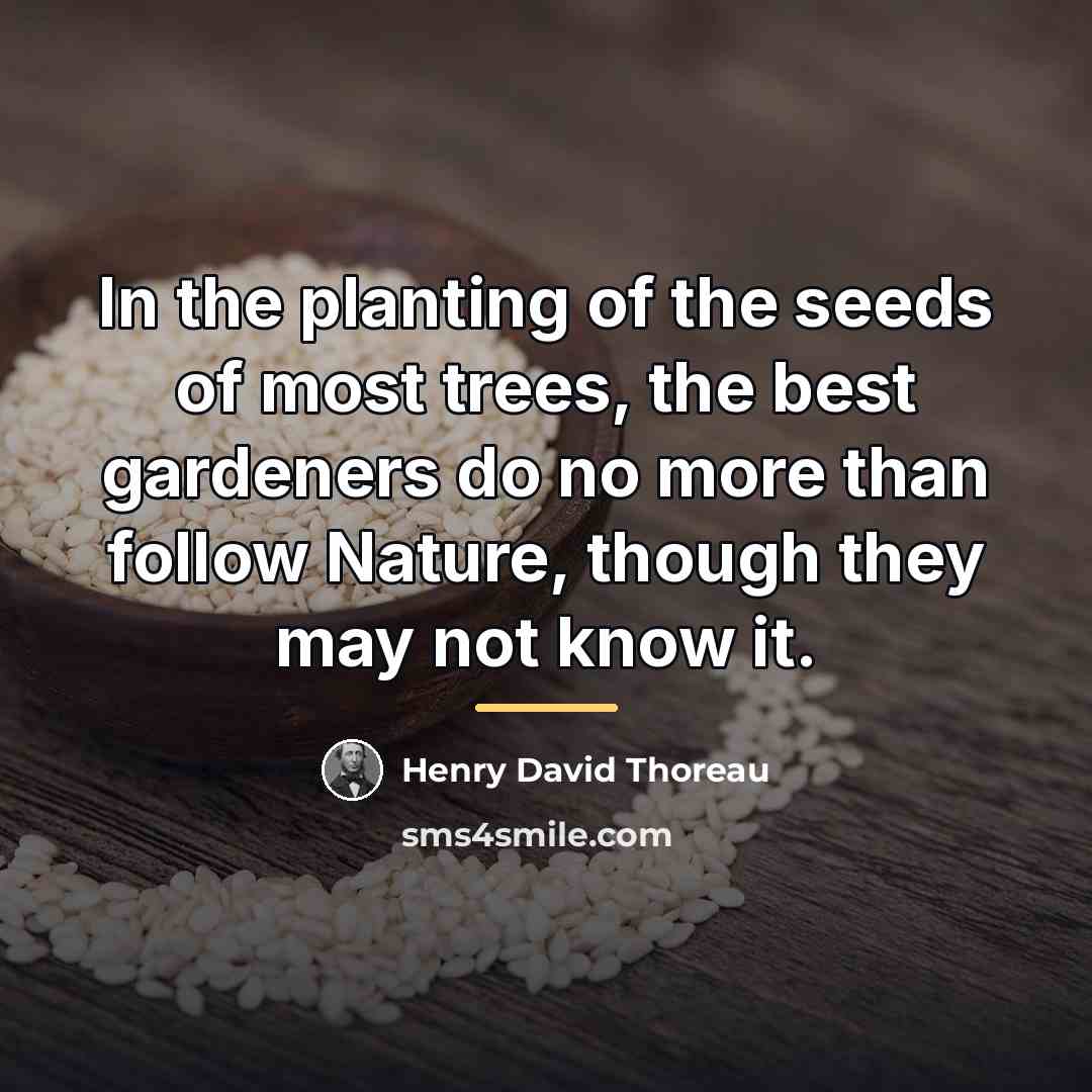 “In the planting of the seeds of most trees, the…” quote by Henry David Thoreau