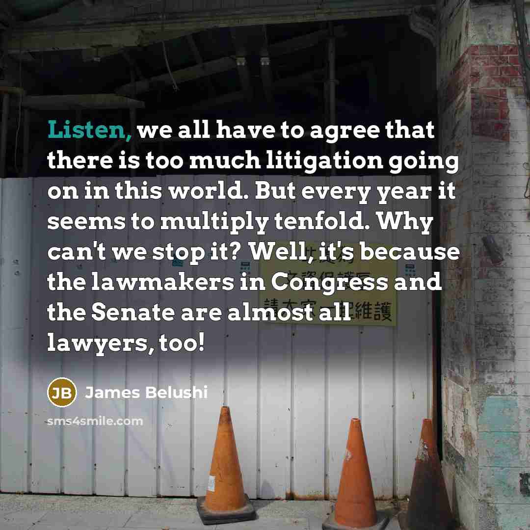“Listen, we all have to agree that there is too…” quote by James Belushi