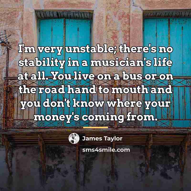 “I'm very unstable; there's no stability in a musician's life…” quote by James Taylor