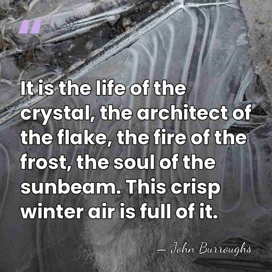 It is the life of the crystal, the architect of the flake,&hellip; - John Burroughs
