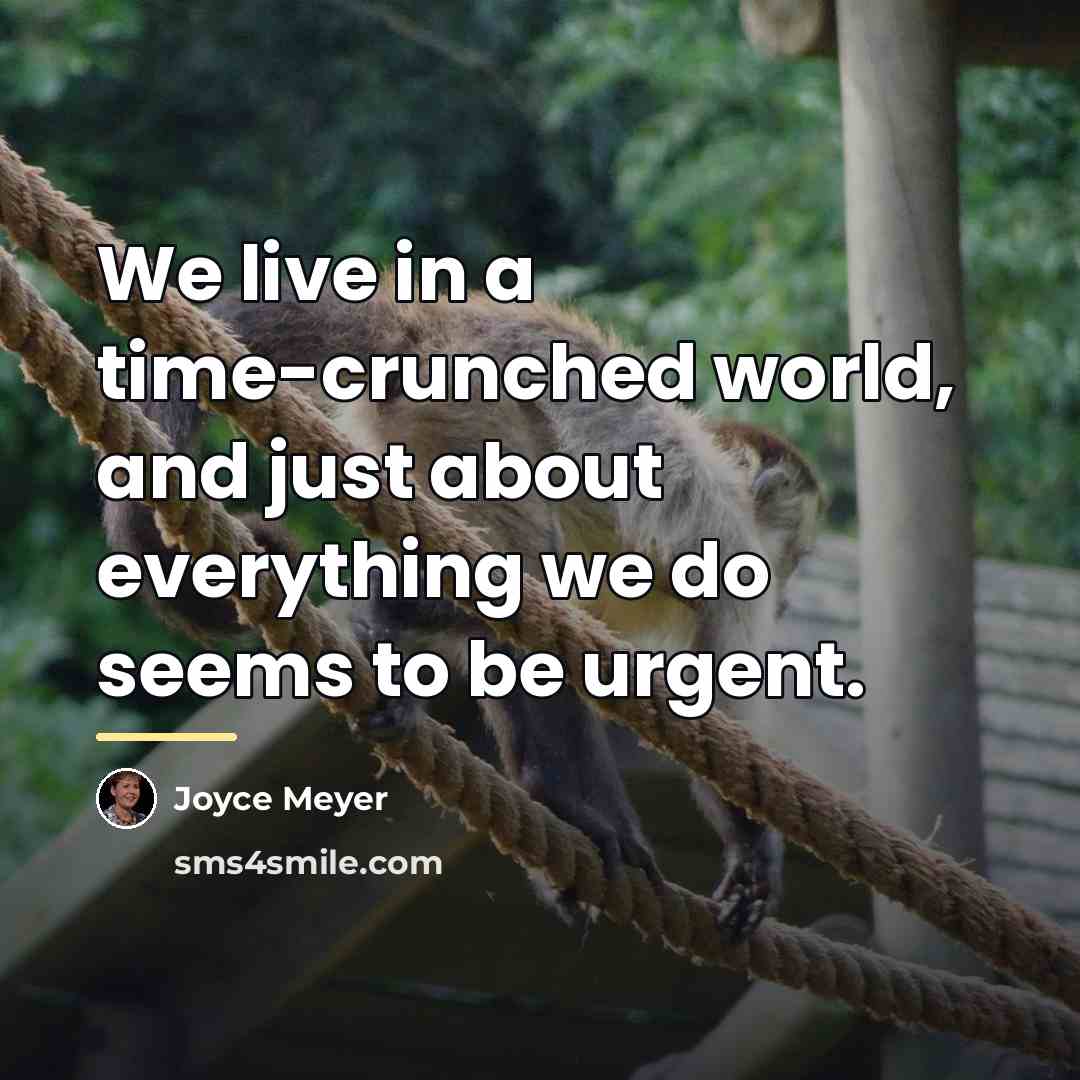 “We live in a time-crunched world, and just about everything…” quote by Joyce Meyer