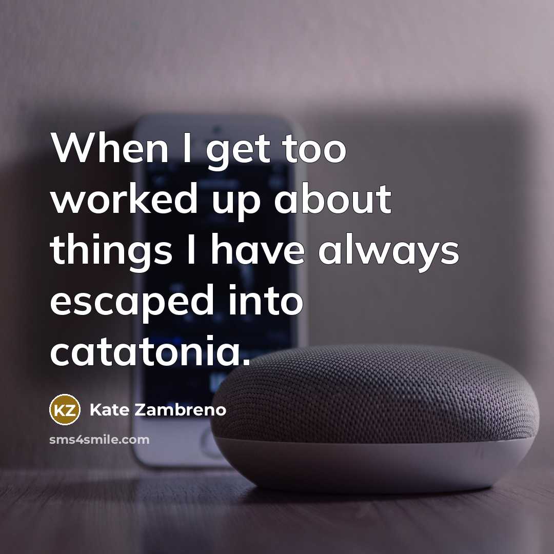 “When I get too worked up about things I have always escaped into catatonia.” quote by Kate Zambreno