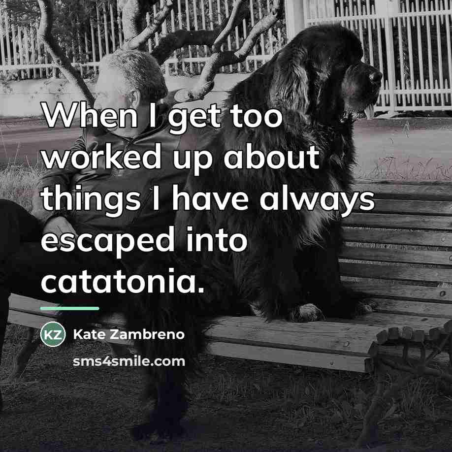 “When I get too worked up about things I have…” quote by Kate Zambreno