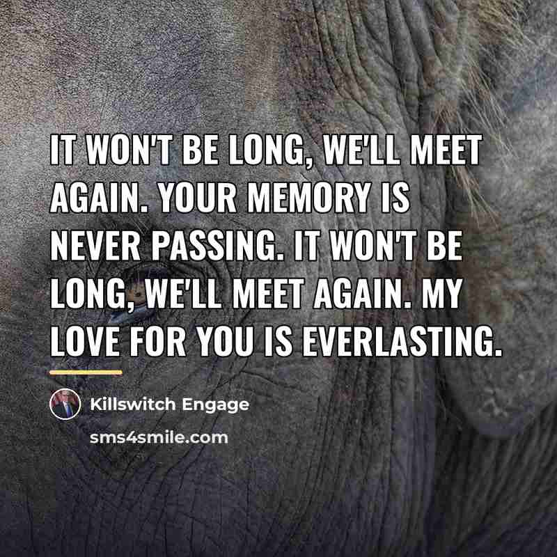 “It won't be long, we'll meet again. Your memory is…” quote by Killswitch Engage