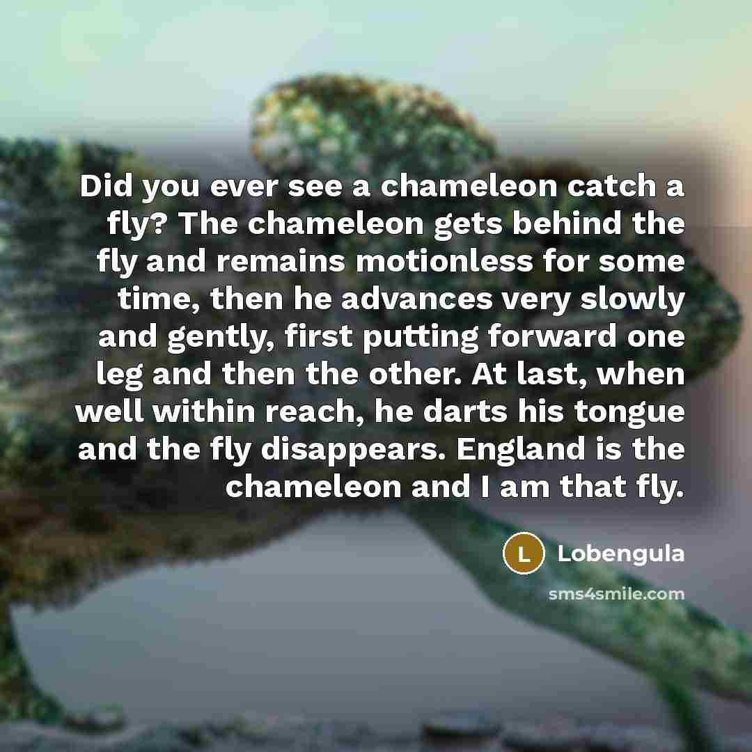 “Did you ever see a chameleon catch a fly? The chameleon gets behind the fly and remains motionless for some time, then he advances very slowly and gently, first putting forward one leg and then the other. At last, when well within reach, he darts his tongue and the fly disappears. England is the…” quote by Lobengula