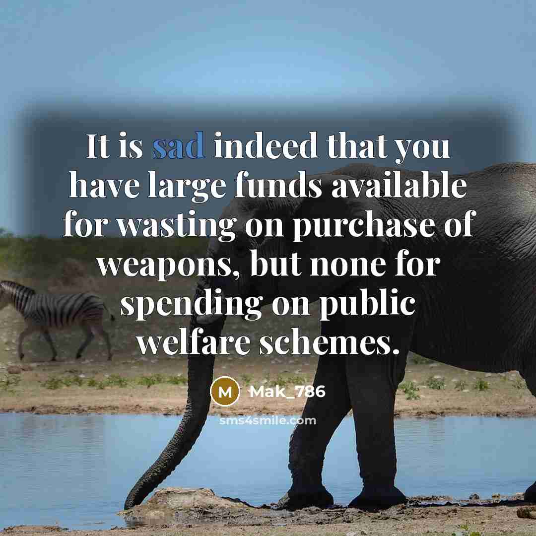 “It is sad indeed that you have large funds available for wasting on purchase of weapons, but none for spending on public welfare schemes.” quote by Mak_786