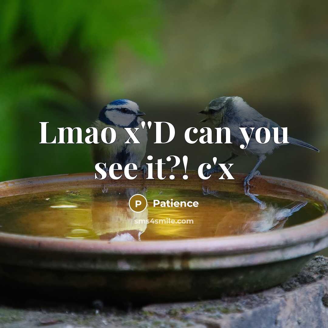 “Lmao x''D can you see it?! c'x” quote by Patience