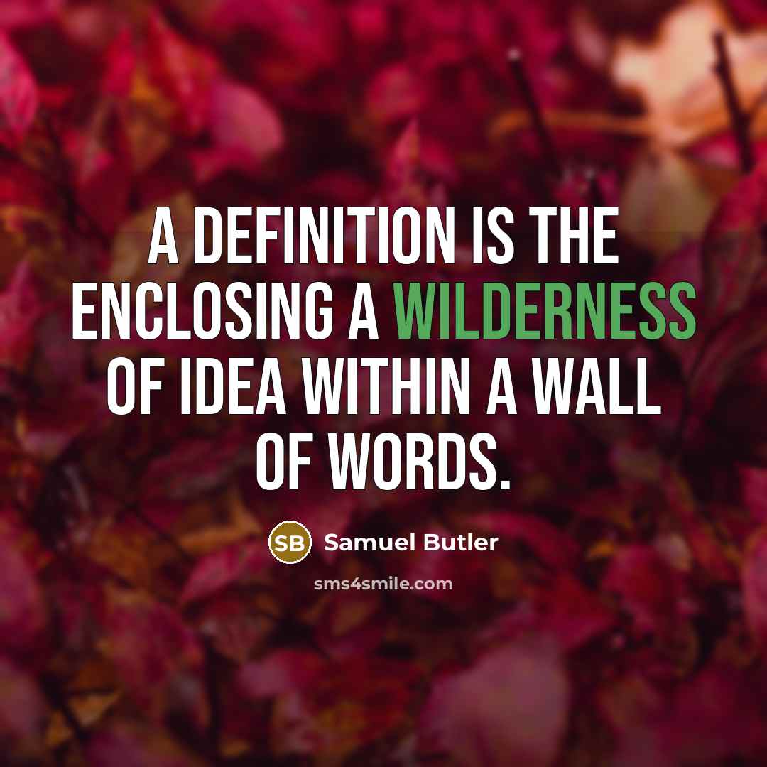“A definition is the enclosing a wilderness of idea within…” quote by Samuel Butler