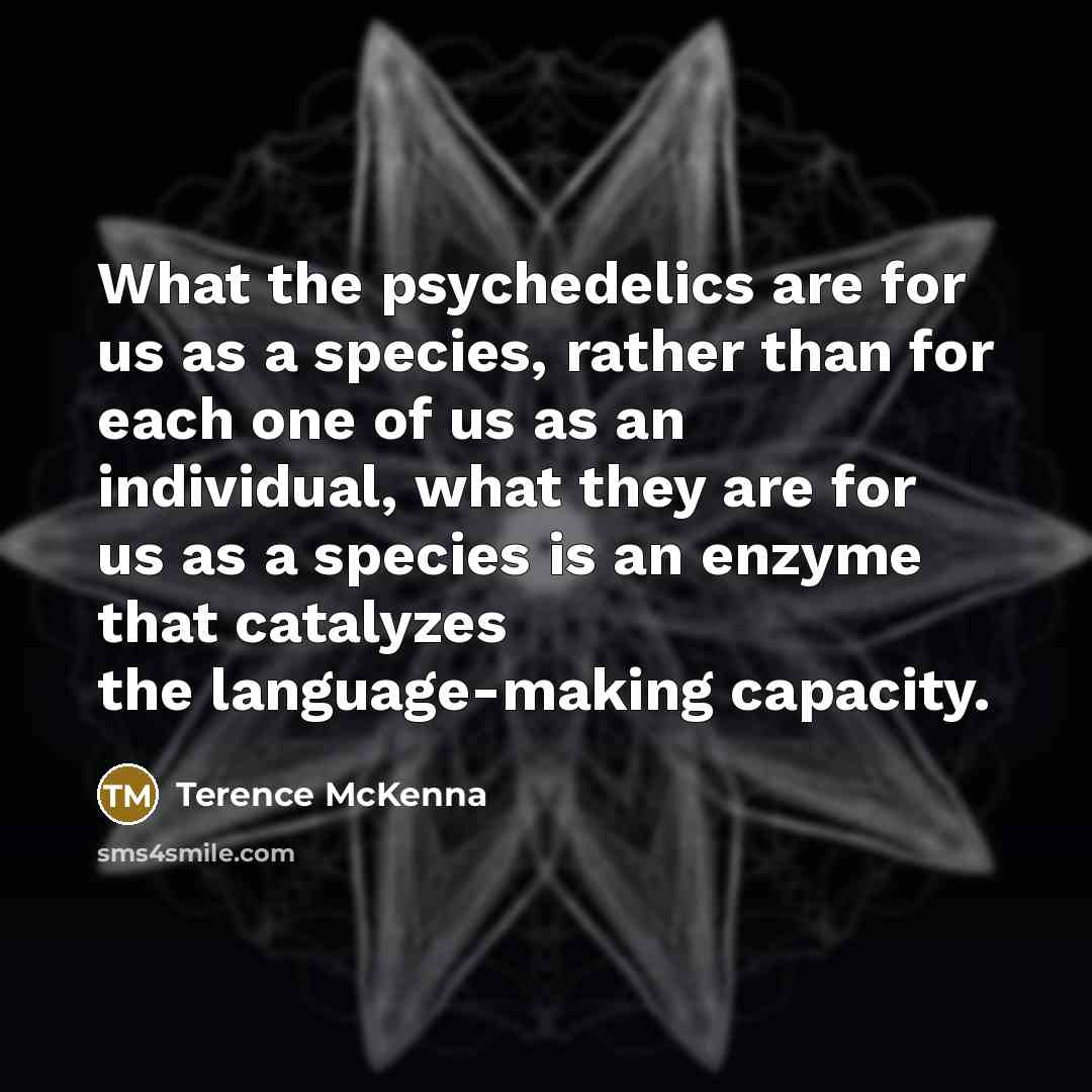 “What the psychedelics are for us as a species, rather…” quote by Terence McKenna