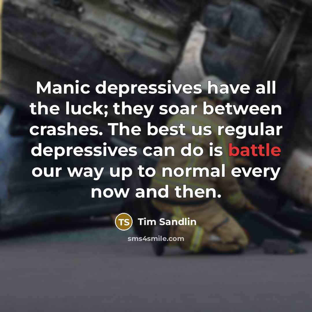 “Manic depressives have all the luck; they soar between crashes.…” quote by Tim Sandlin