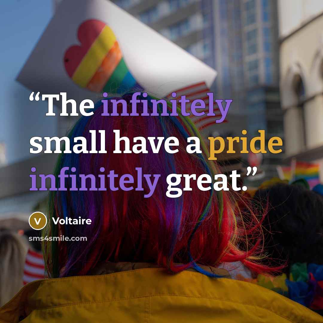 “The infinitely small have a pride infinitely great.” quote by Voltaire