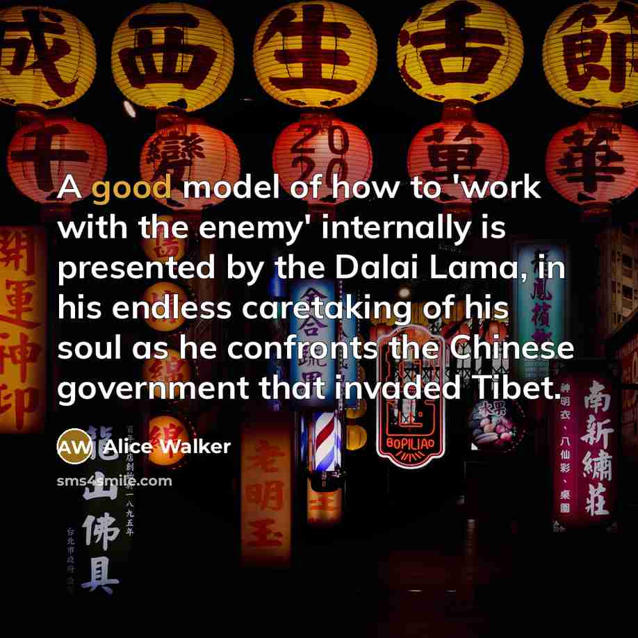 “A good model of how to 'work with the enemy'…” quote by Alice Walker