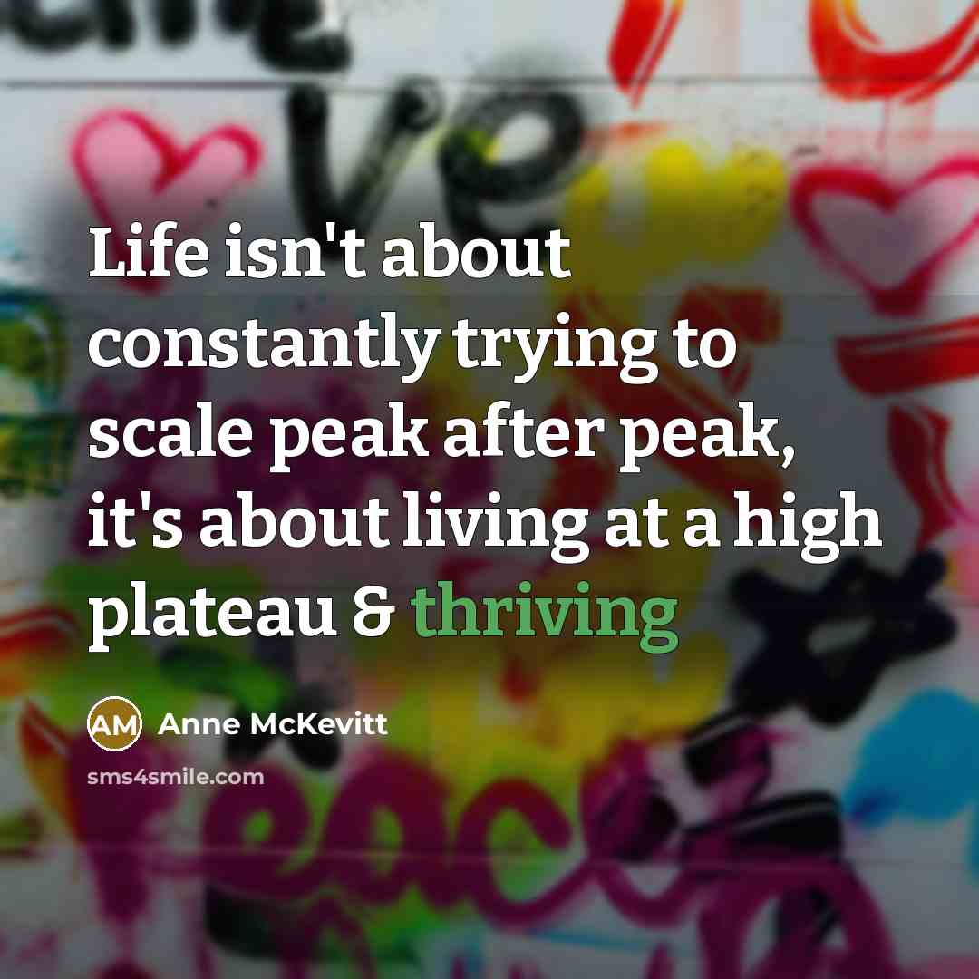 “Life isn't about constantly trying to scale peak after peak,…” quote by Anne McKevitt