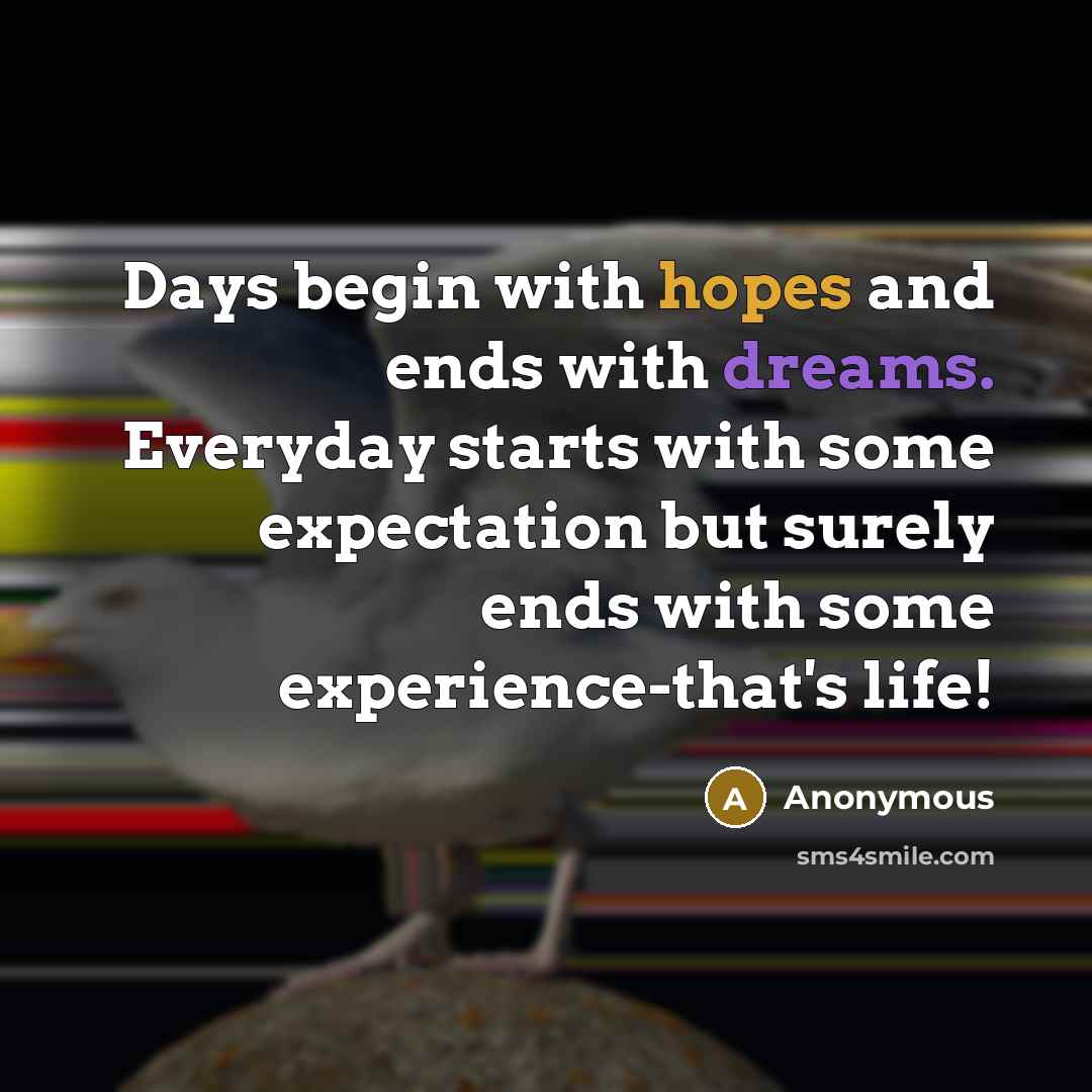 “Days begin with hopes and ends with dreams. Everyday starts with some expectation but surely ends with some experience-that's life!” quote by Anonymous