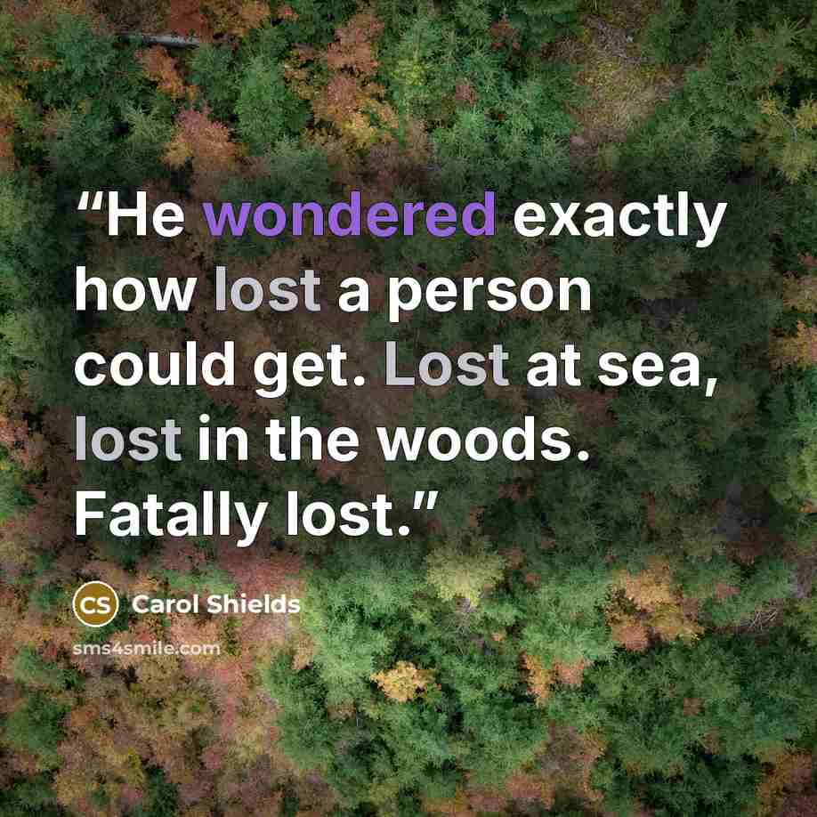 “He wondered exactly how lost a person could get. Lost at sea, lost in the woods. Fatally lost.” quote by Carol Shields