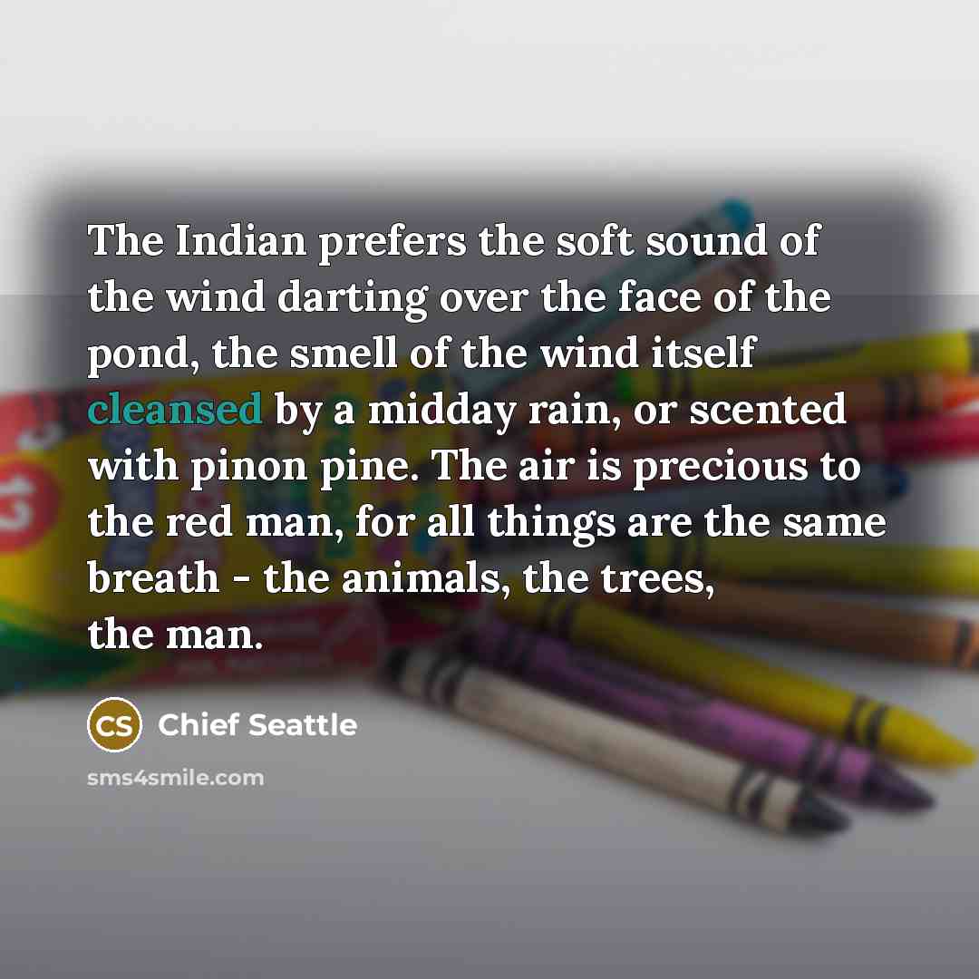 “The Indian prefers the soft sound of the wind darting…” quote by Chief Seattle