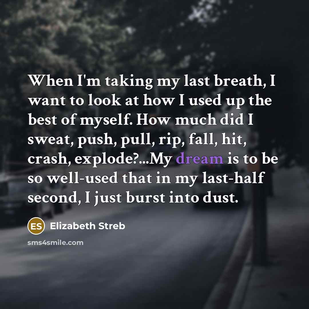 “When I'm taking my last breath, I want to look at how I used up the best of myself. How much did I sweat, push, pull, rip, fall, hit, crash, explode?...My dream is to be so well-used that in my last-half second, I just burst into dust.” quote by Elizabeth Streb