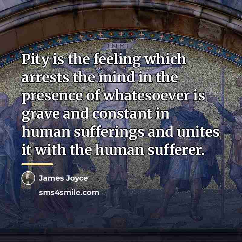 “Pity is the feeling which arrests the mind in the…” quote by James Joyce