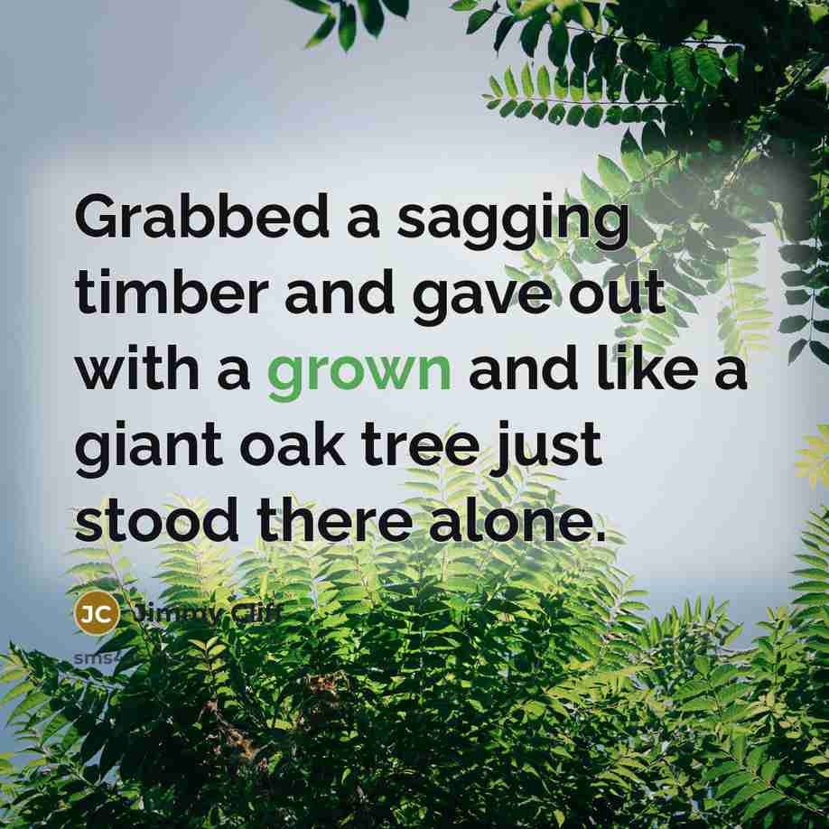 “Grabbed a sagging timber and gave out with a grown and like a giant oak tree just stood there alone.” quote by Jimmy Cliff