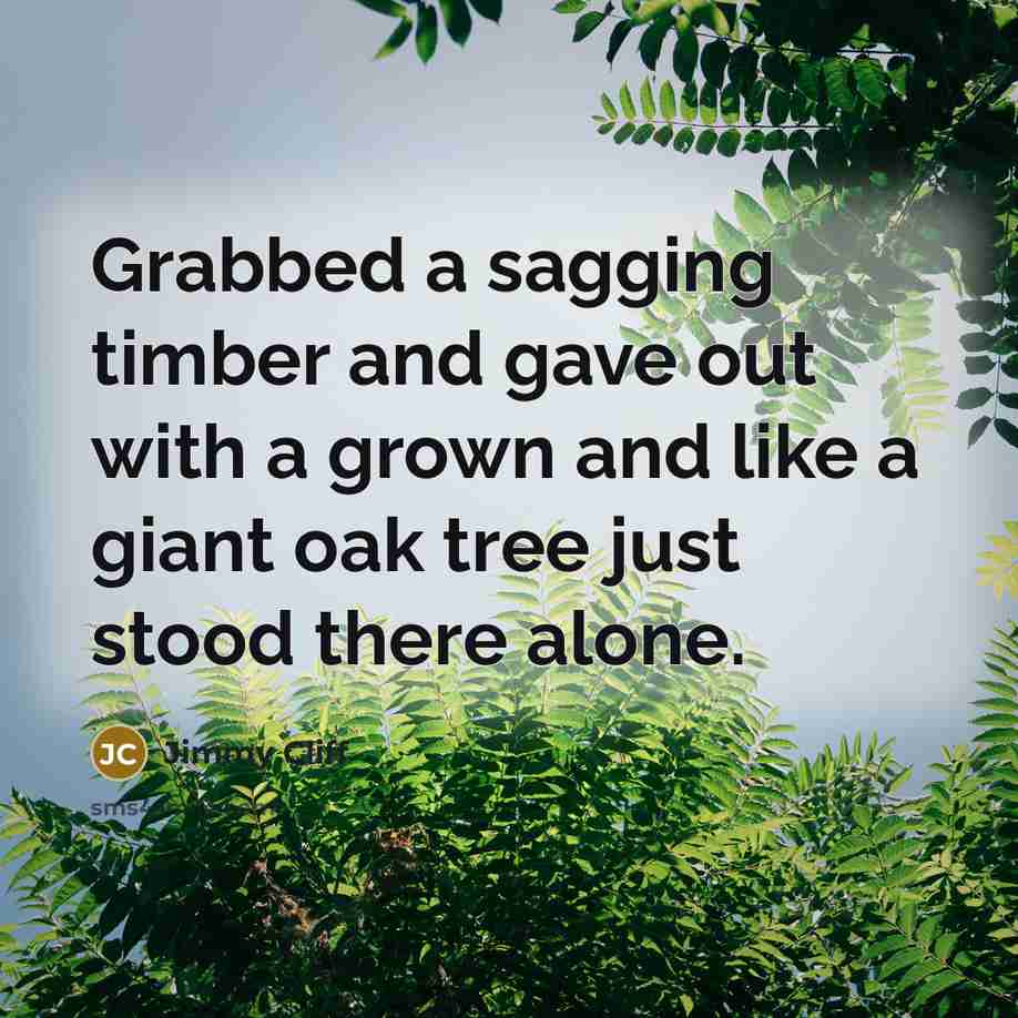 “Grabbed a sagging timber and gave out with a grown…” quote by Jimmy Cliff