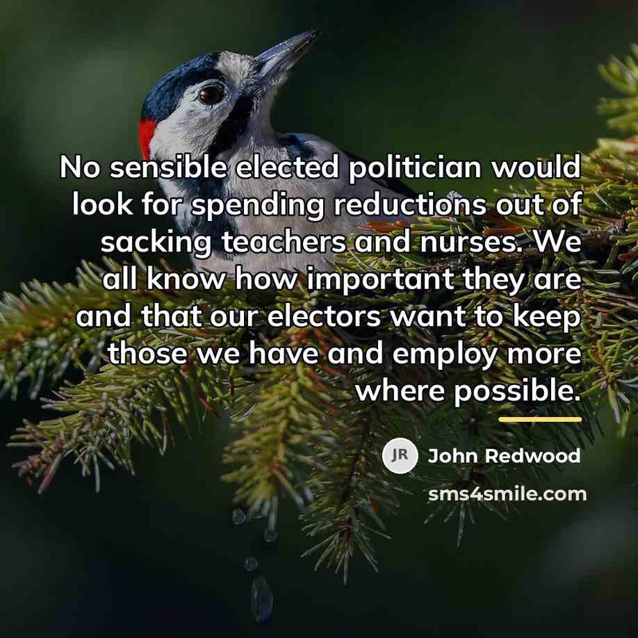 “No sensible elected politician would look for spending reductions out…” quote by John Redwood