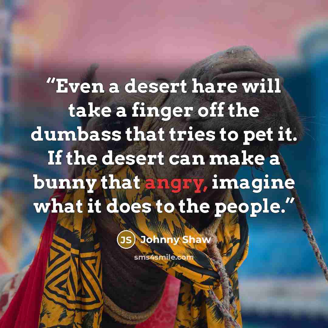 “Even a desert hare will take a finger off the dumbass that tries to pet it. If the desert can make a bunny that angry, imagine what it does to the people.” quote by Johnny Shaw