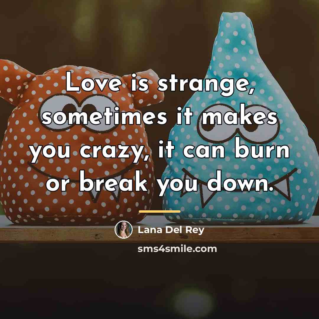 “Love is strange, sometimes it makes you crazy, it can…” quote by Lana Del Rey