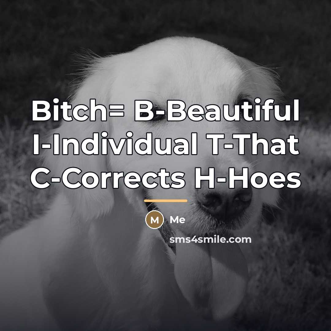 “Bitch= B-Beautiful I-Individual T-That C-Corrects H-Hoes…” quote by Me
