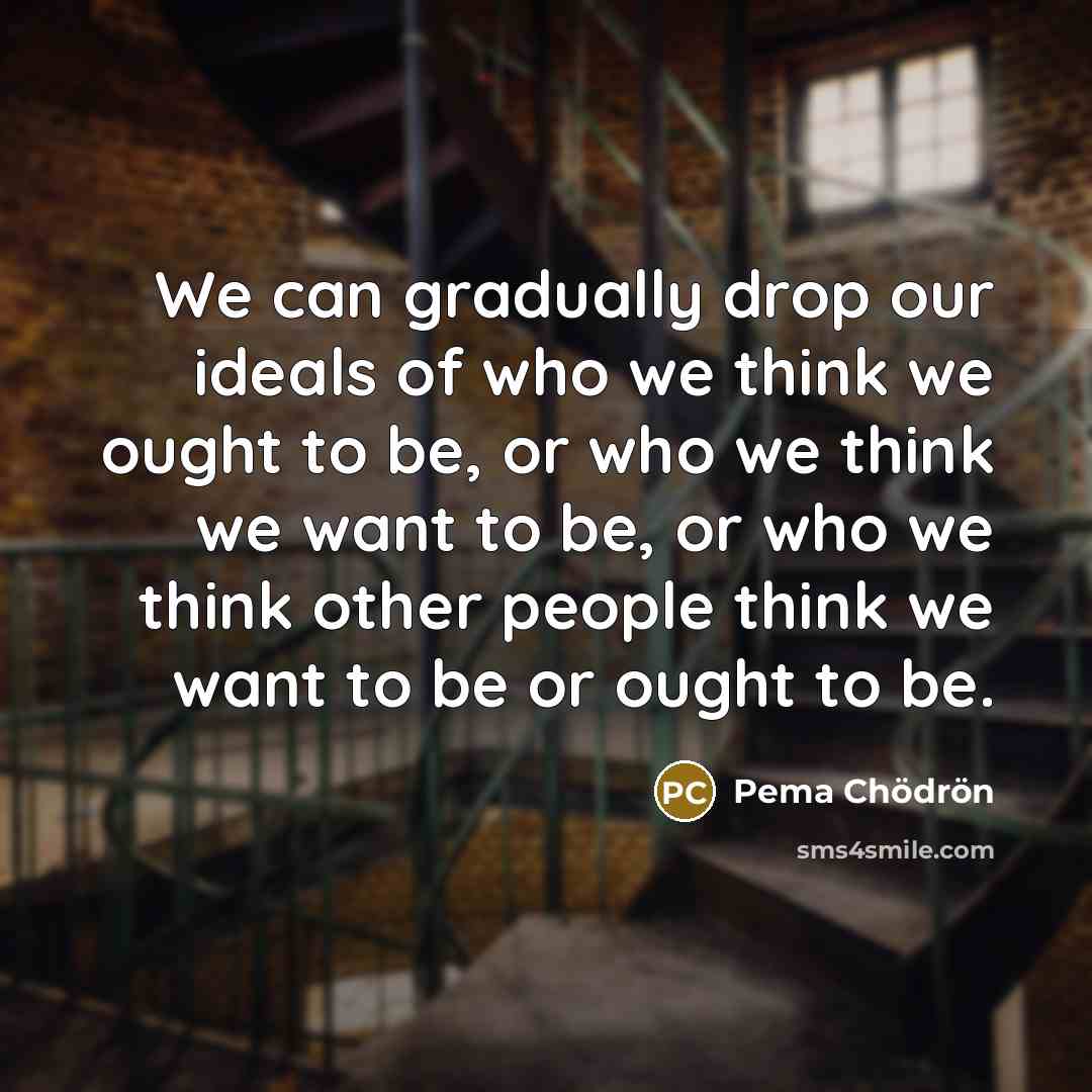 “We can gradually drop our ideals of who we think…” quote by Pema Chodron
