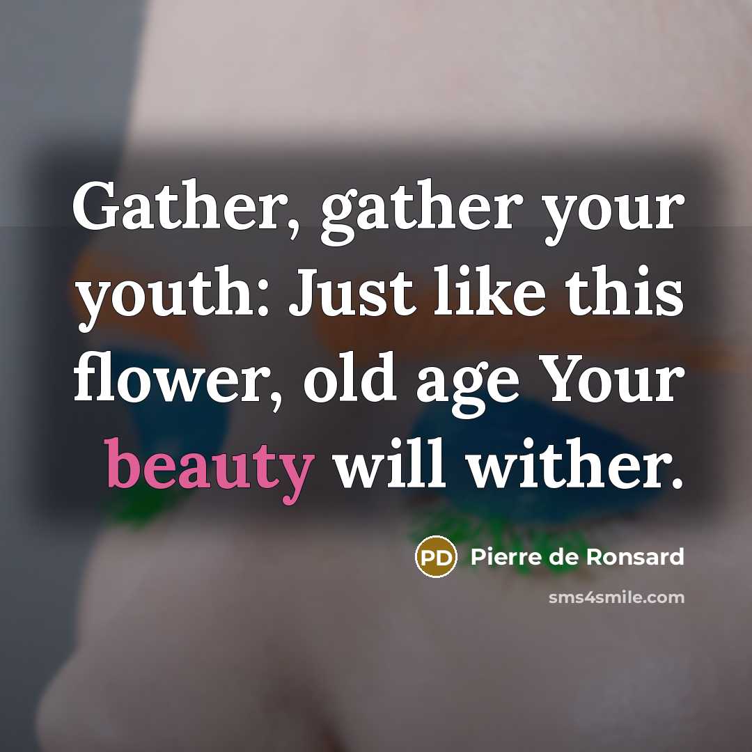 “Gather, gather your youth: Just like this flower, old age…” quote by Pierre de Ronsard