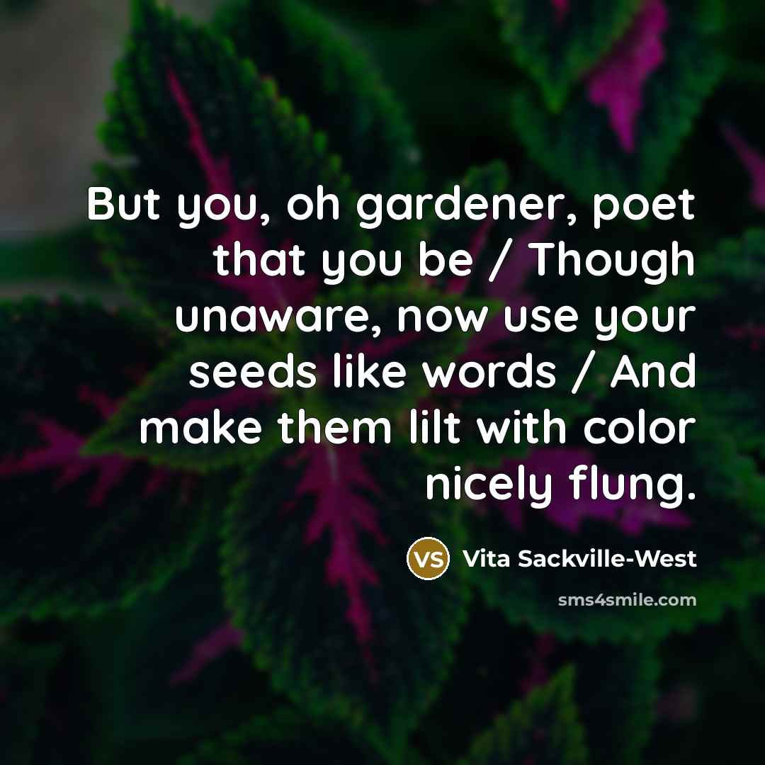 “But you, oh gardener, poet that you be / Though…” quote by Vita Sackville-West