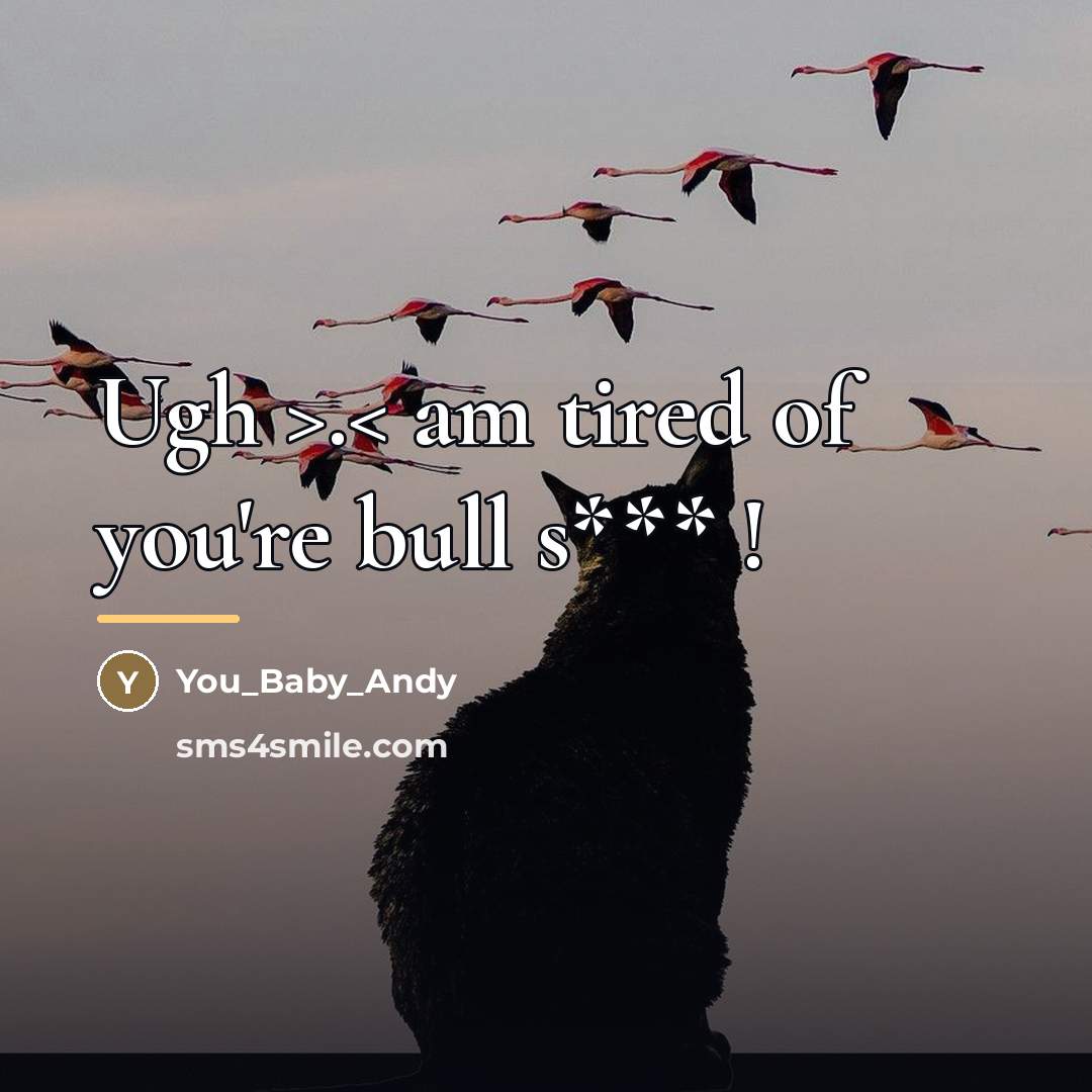 “Ugh >.< am tired of you're bull s*** !…” quote by You_Baby_Andy