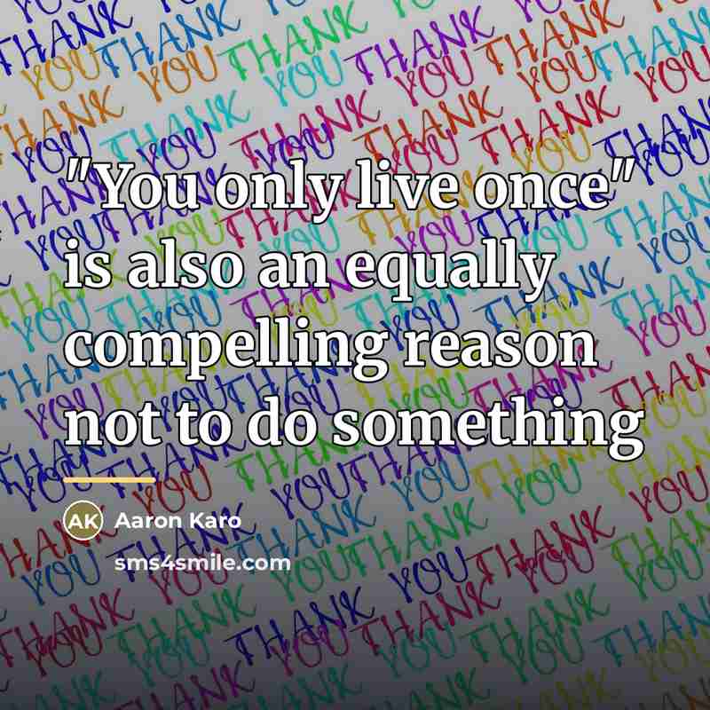 “"You only live once" is also an equally compelling reason…” quote by Aaron Karo