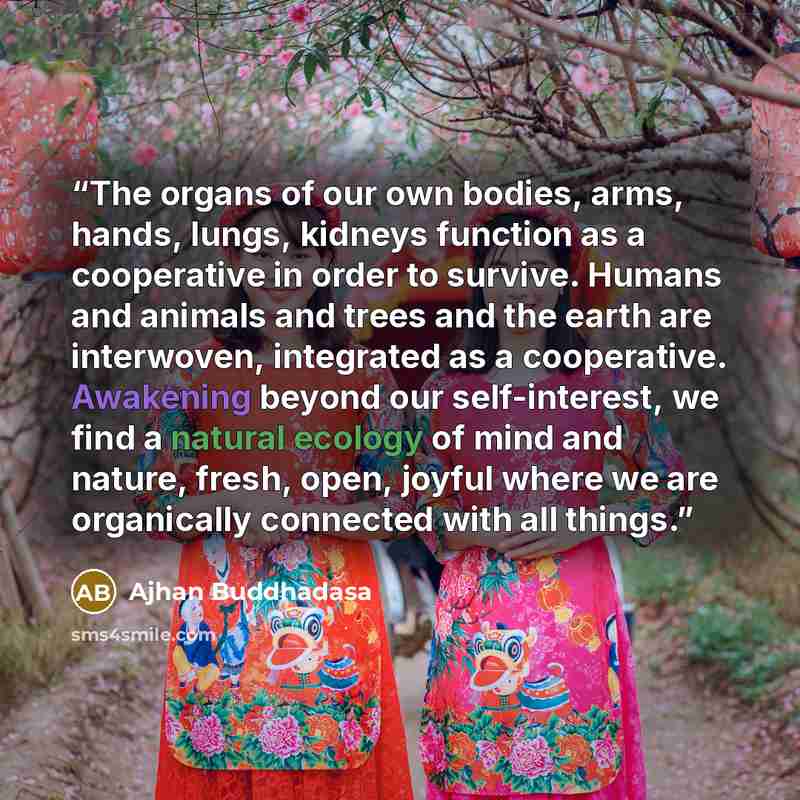 “The organs of our own bodies, arms, hands, lungs, kidneys function as a cooperative in order to survive. Humans and animals and trees and the earth are interwoven, integrated as a cooperative. Awakening beyond our self-interest, we find a natural ecology of mind and nature, fresh, open, joyful…” quote by Ajhan Buddhadasa