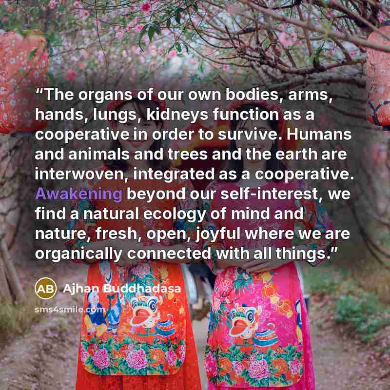 “The organs of our own bodies, arms, hands, lungs, kidneys function as a cooperative in order to survive. Humans and animals and trees and the earth are interwoven, integrated as a cooperative. Awakening beyond our self-interest, we find a natural ecology of mind and nature, fresh, open, joyful…” quote by Ajhan Buddhadasa