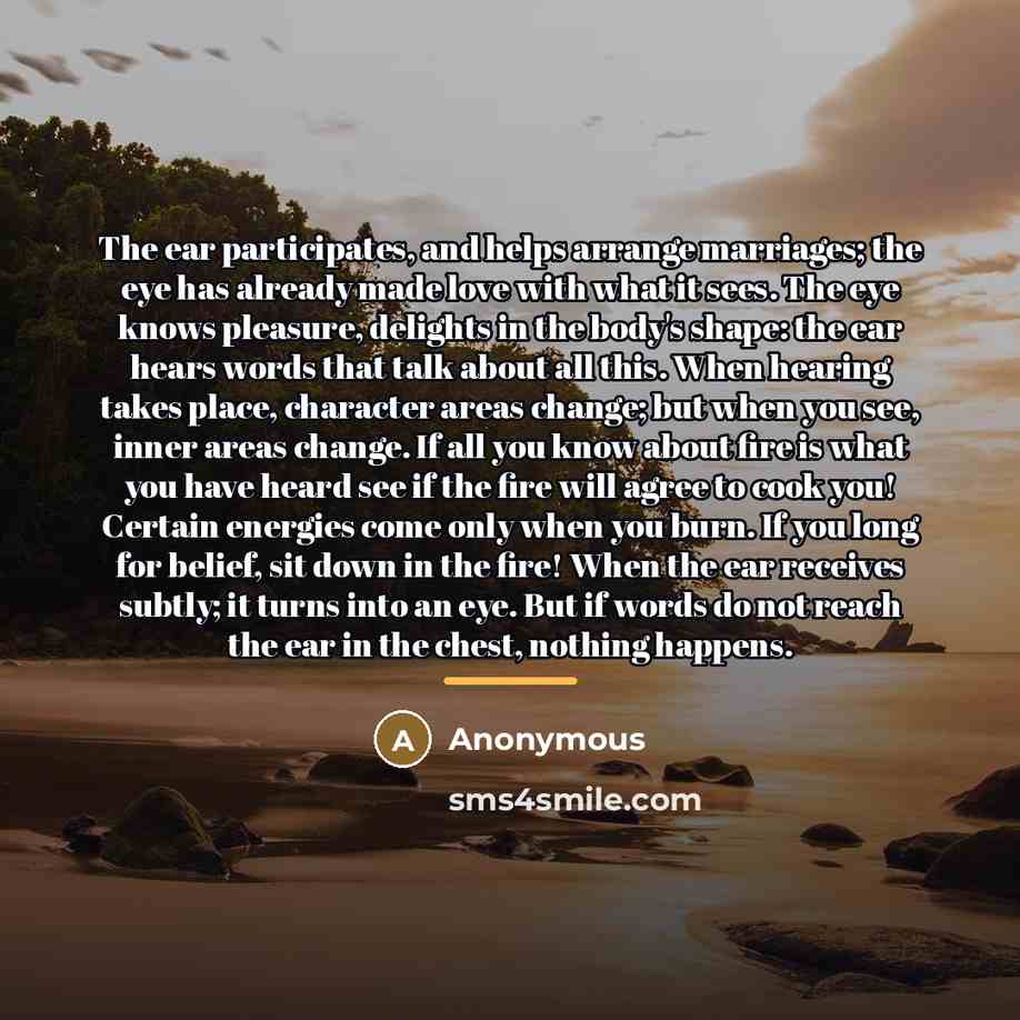 “The ear participates, and helps arrange marriages; the eye has…” quote by Anonymous