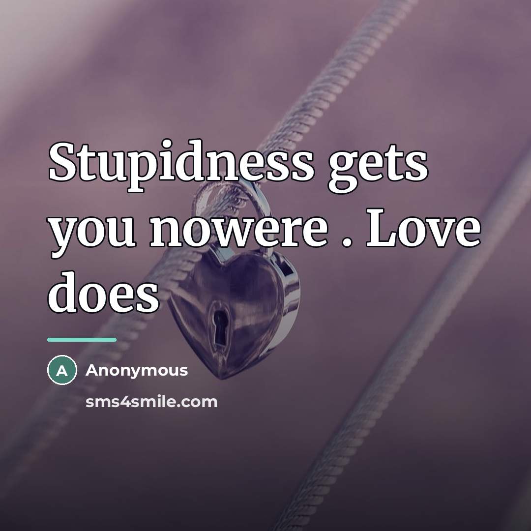 “Stupidness gets you nowere . Love does…” quote by Anonymous