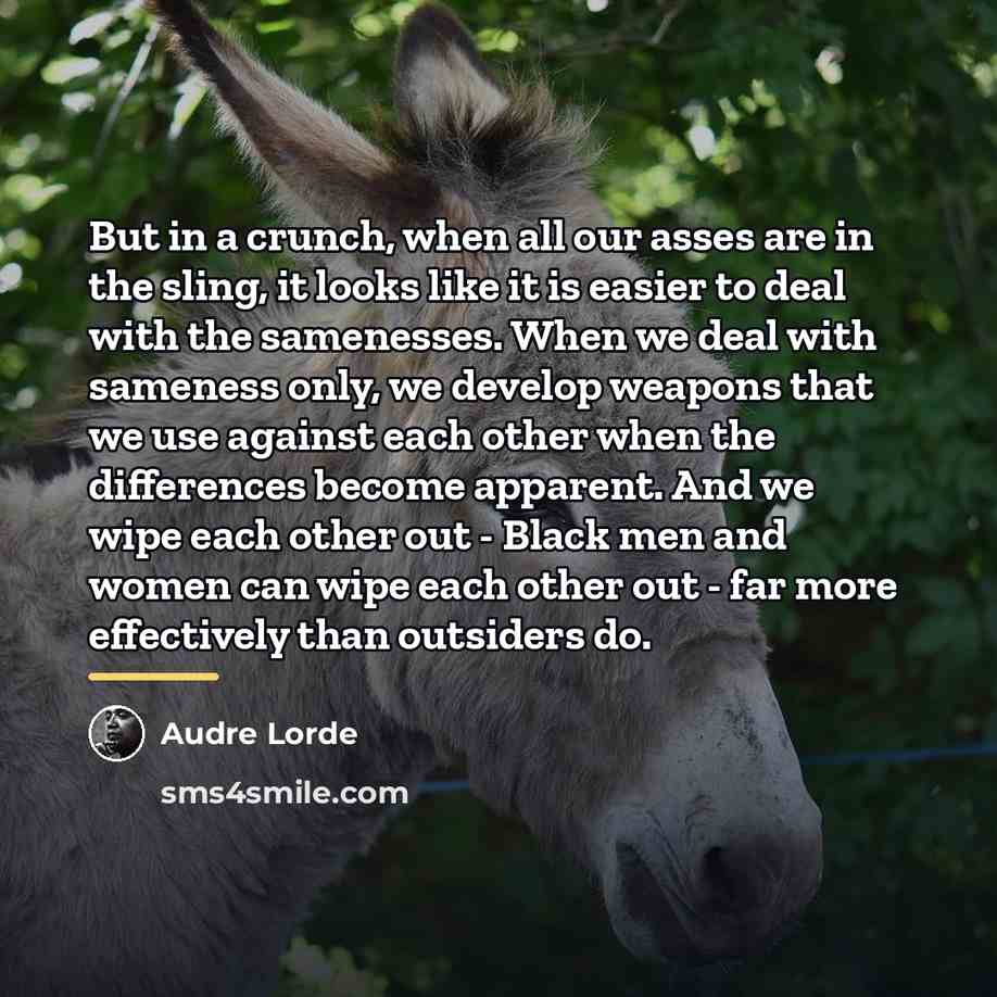 “But in a crunch, when all our asses are in…” quote by Audre Lorde