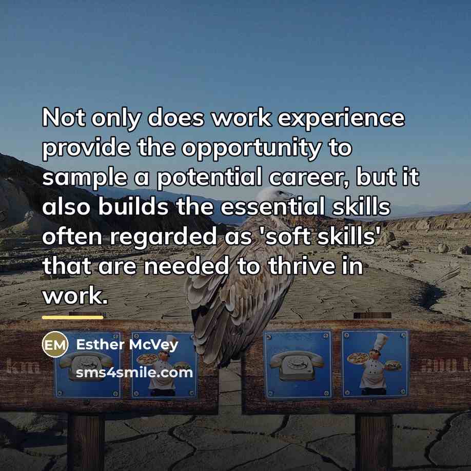 “Not only does work experience provide the opportunity to sample…” quote by Esther McVey