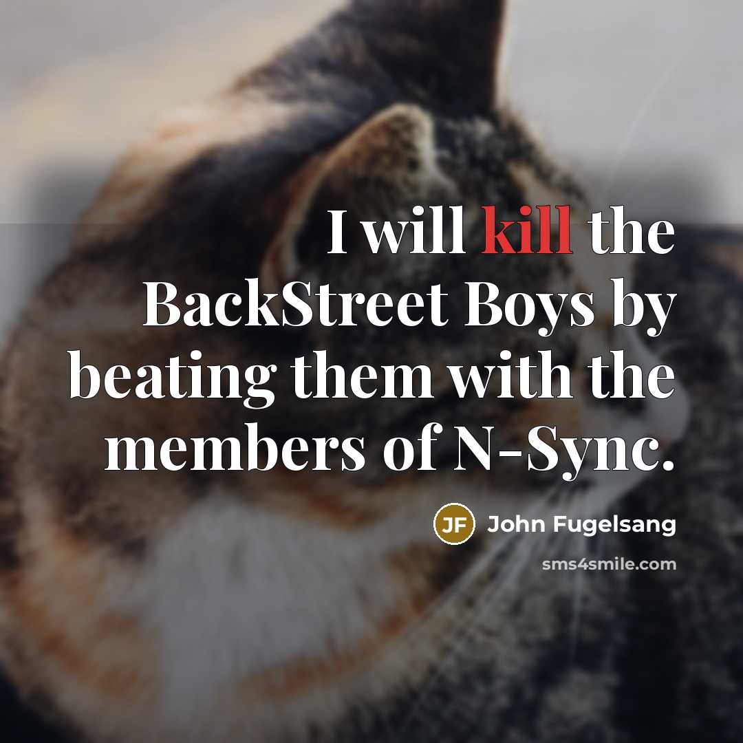 “I will kill the BackStreet Boys by beating them with…” quote by John Fugelsang