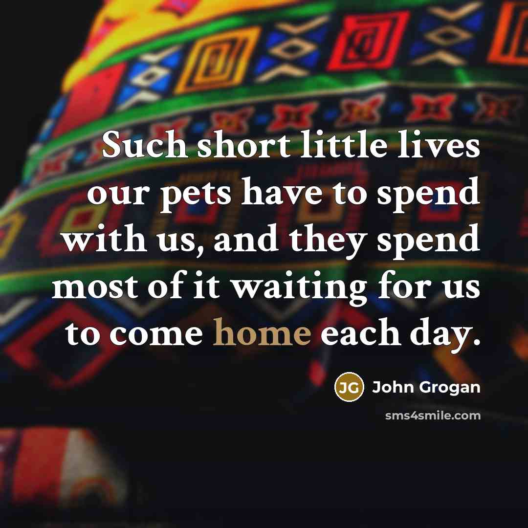 “Such short little lives our pets have to spend with…” quote by John Grogan
