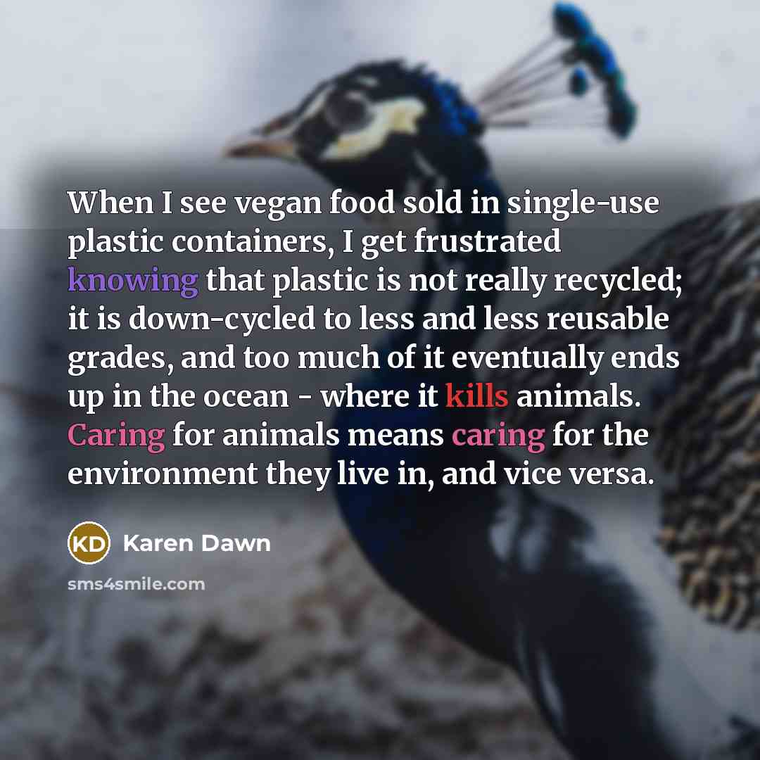 “When I see vegan food sold in single-use plastic containers,…” quote by Karen Dawn