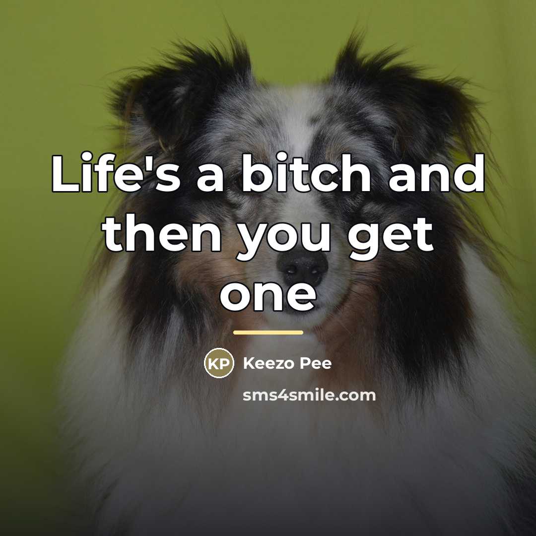“Life's a bitch and then you get one…” quote by Keezo Pee