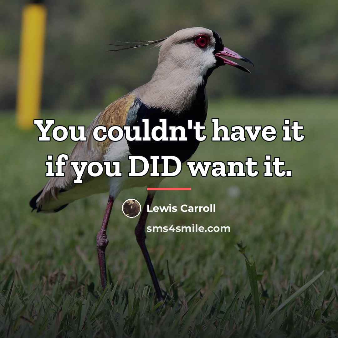 “You couldn't have it if you DID want it.…” quote by Lewis Carroll