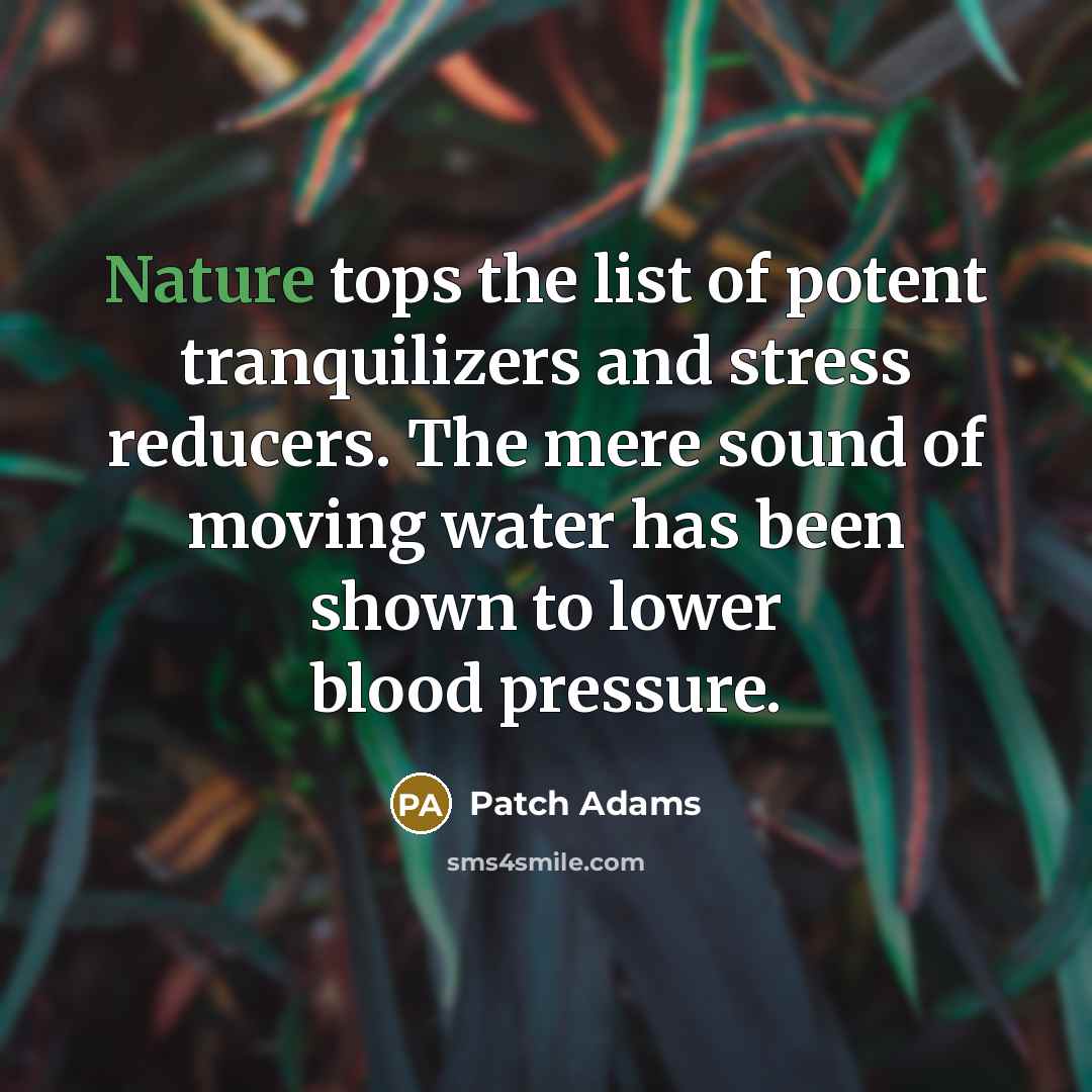 “Nature tops the list of potent tranquilizers and stress reducers.…” quote by Patch Adams