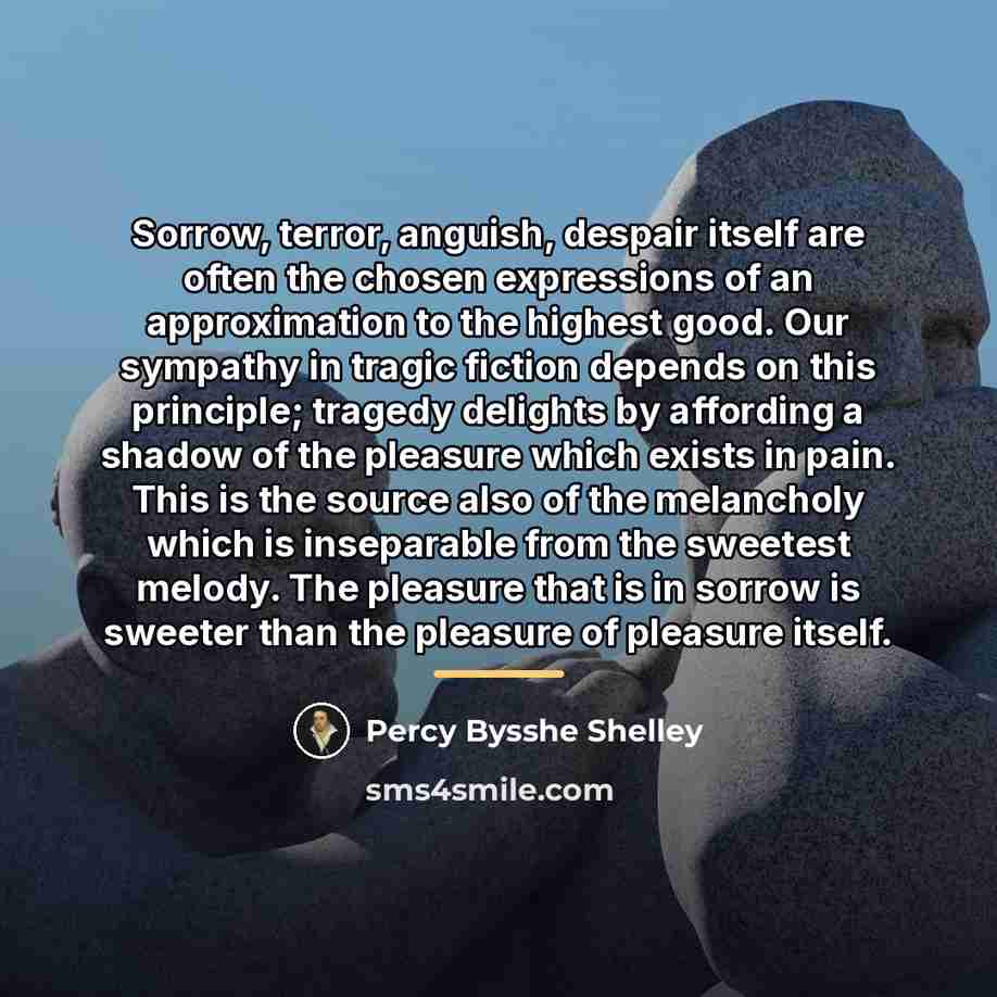 “Sorrow, terror, anguish, despair itself are often the chosen expressions…” quote by Percy Bysshe Shelley